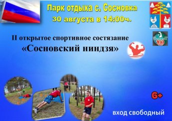 30 августа - II открытое спортивное состязание "Сосновский ниндзя"