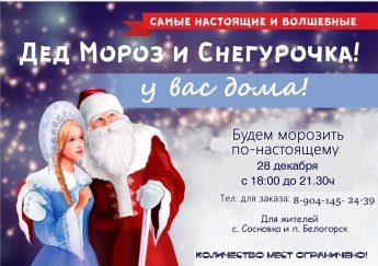 Дед мороз и снегурочка у вас дома!